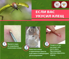 ОСТОРОЖНО! КЛЕЩИ! ОСТОРОЖНО! КЛЕЩИ!.