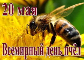 Всемирный день пчёл Всемирный день пчёл.